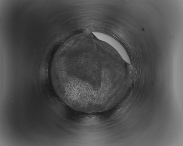 X0000088920547200706291529