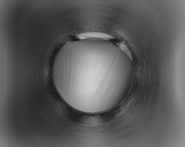 X0000088920548200706291529
