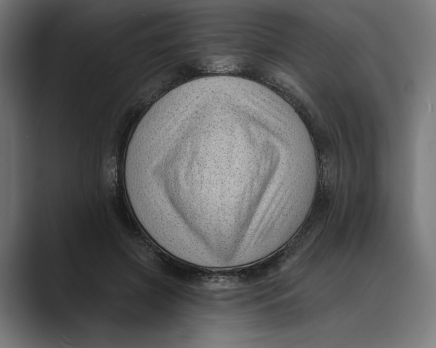X0000088920549200706291529