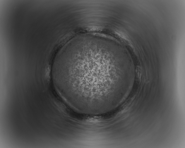 X0000088920550200706291529