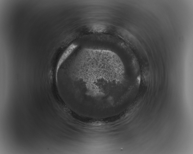 X0000088920551200706291529