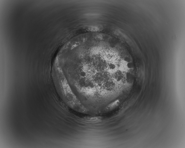 X0000088920553200706291529