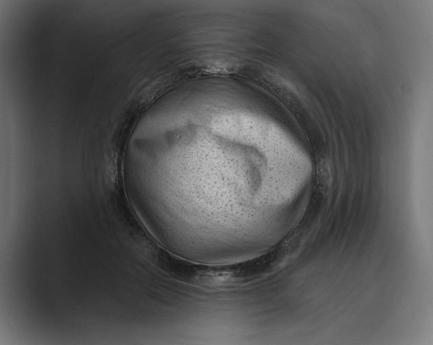 X0000088920554200706291529