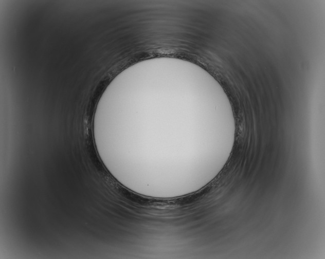 X0000088920555200706291529