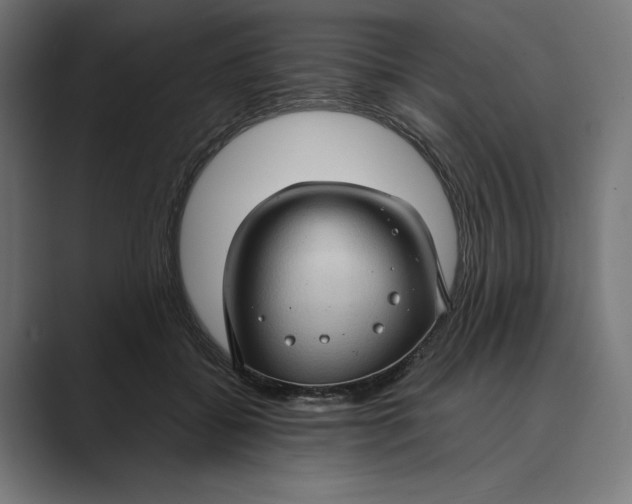 X0000088920556200706291529
