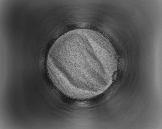 X0000088920557200706291529