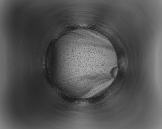 X0000088920559200706291529
