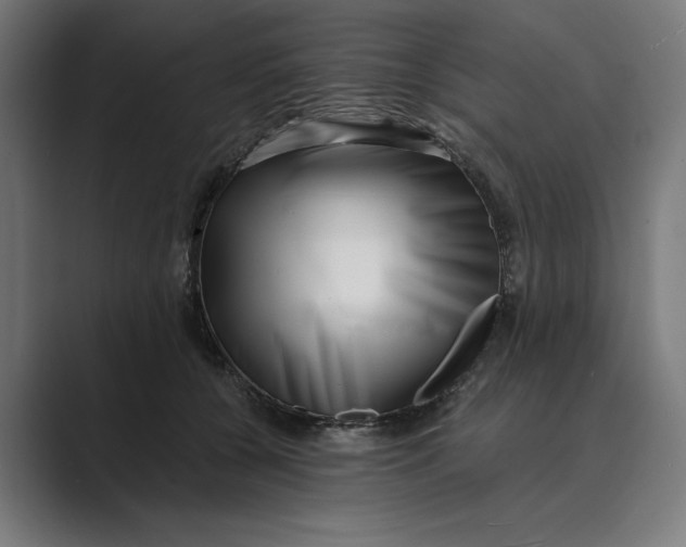 X0000088920560200706291529