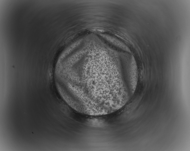 X0000088920561200706291529