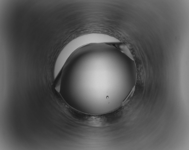 X0000088920562200706291529