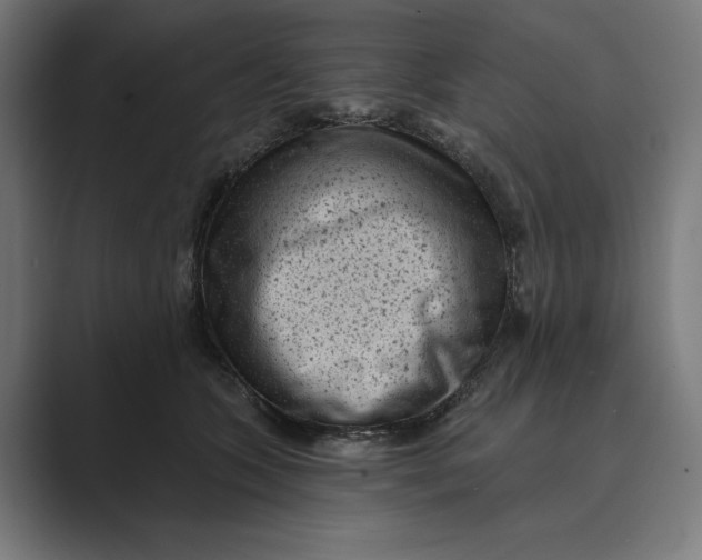 X0000088920563200706291529
