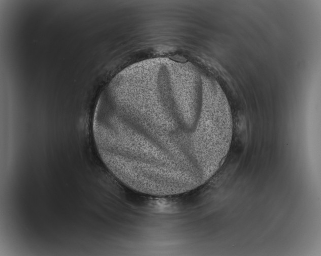 X0000088920565200706291529