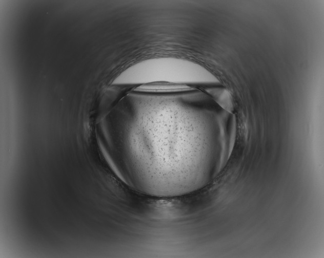 X0000088920566200706291529