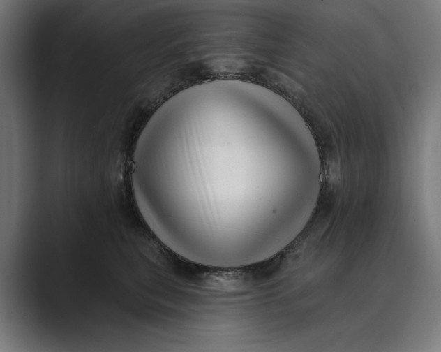 X0000088920567200706291529