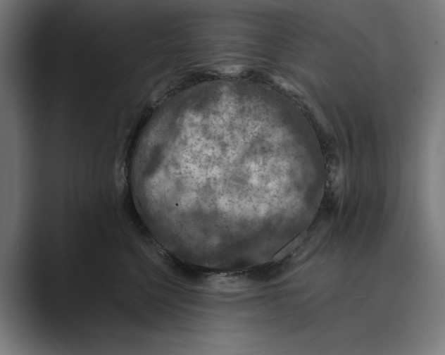 X0000088920568200706291529