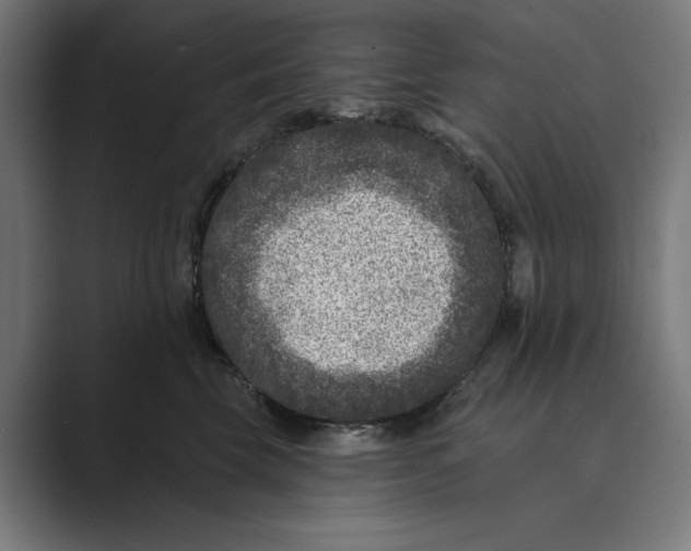 X0000088920569200706291529