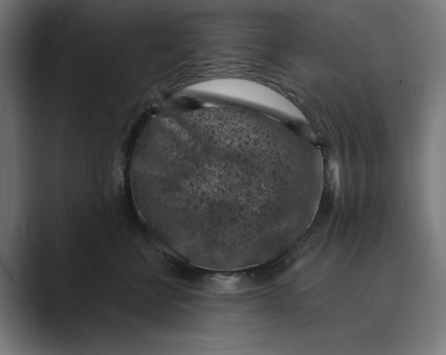 X0000088920570200706291529