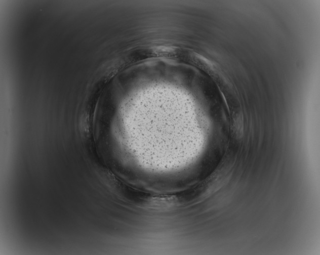 X0000088920571200706291529