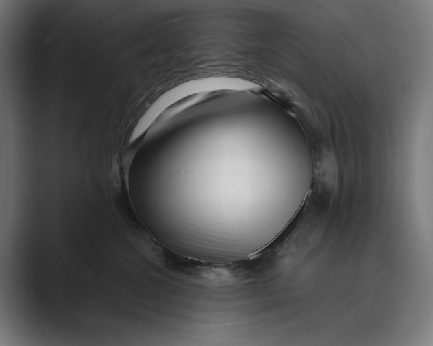 X0000088920572200706291529