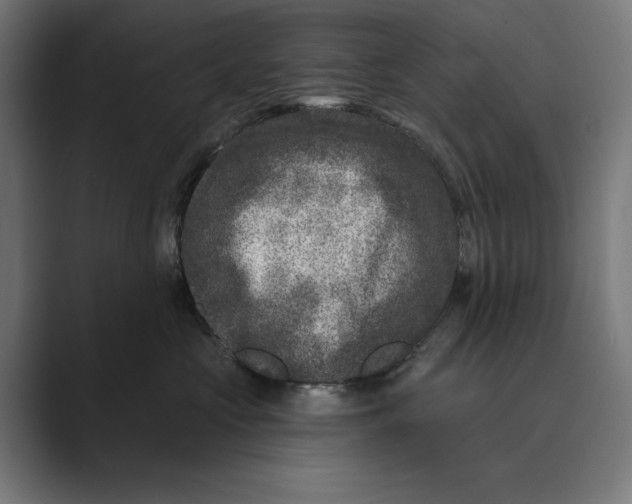 X0000088920573200706291529