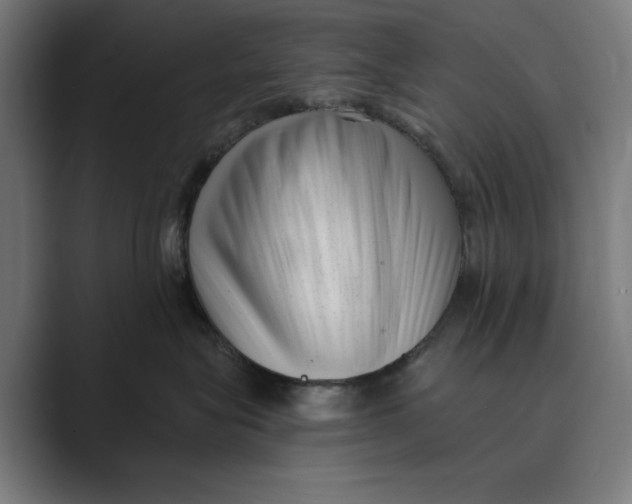 X0000088920575200706291529