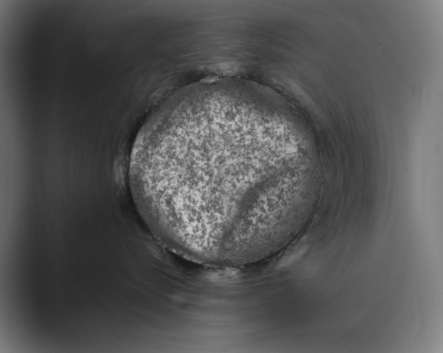 X0000088920576200706291529
