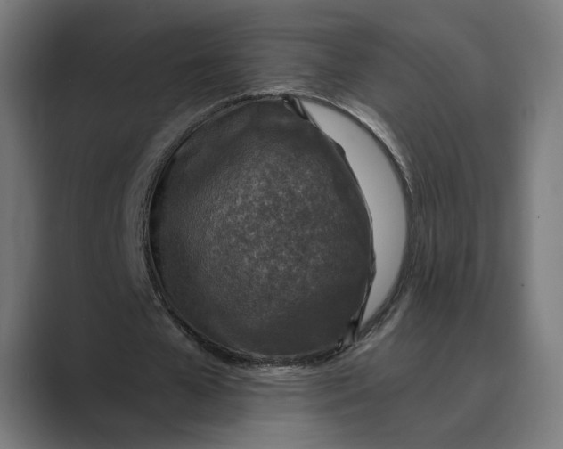 X0000088920577200706291529