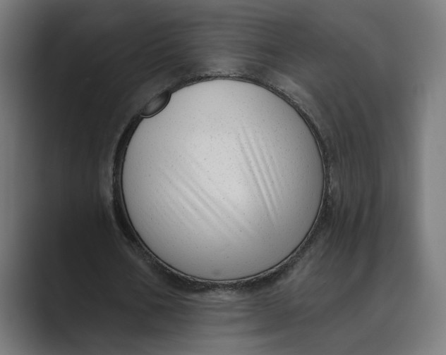 X0000088920578200706291529