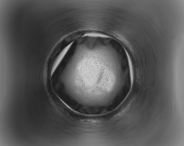 X0000088920580200706291529