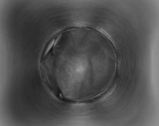 X0000088920581200706291529