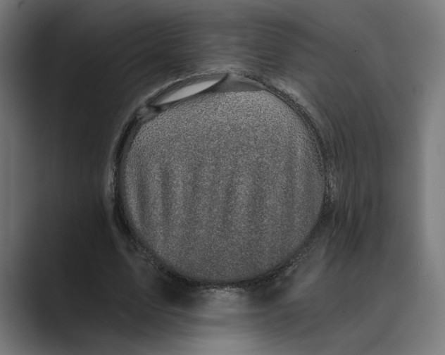 X0000088920583200706291529
