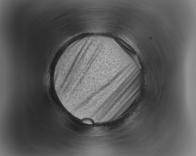 X0000088920584200706291529
