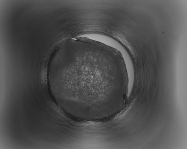 X0000088920585200706291529