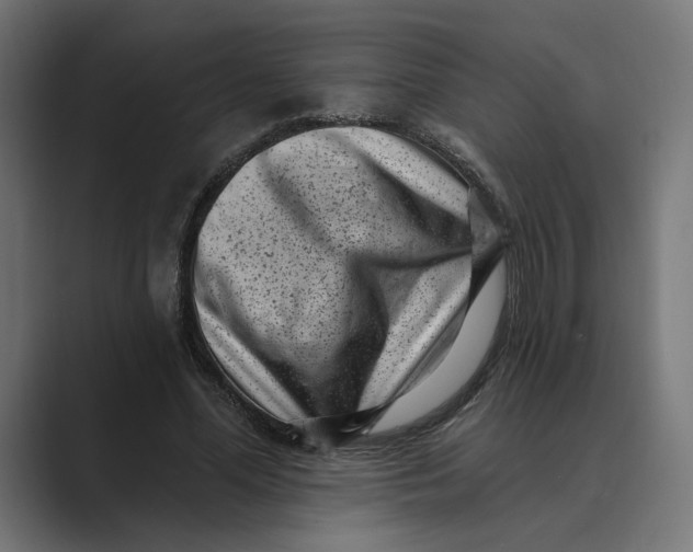 X0000088920588200706291529