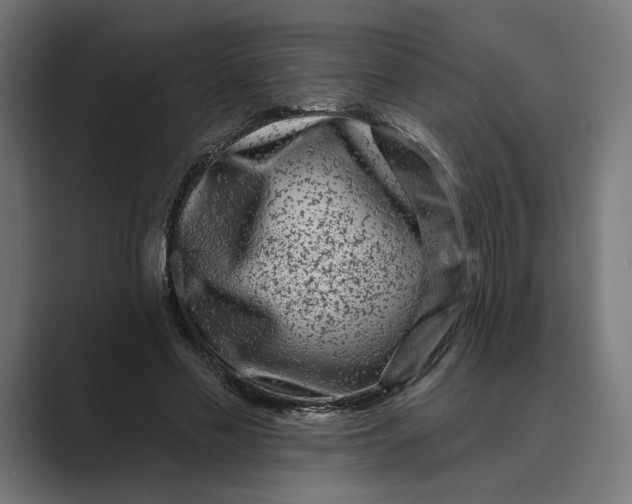 X0000088920589200706291529