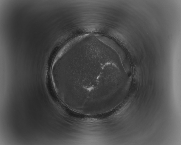 X0000088920590200706291529
