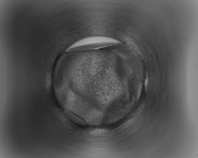 X0000088920593200706291528