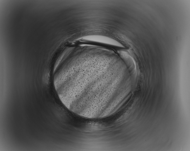 X0000088920596200706291528