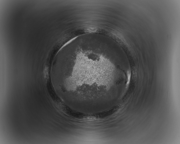 X0000088920598200706291528