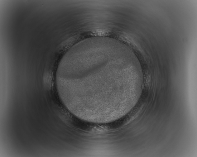 X0000088920599200706291528