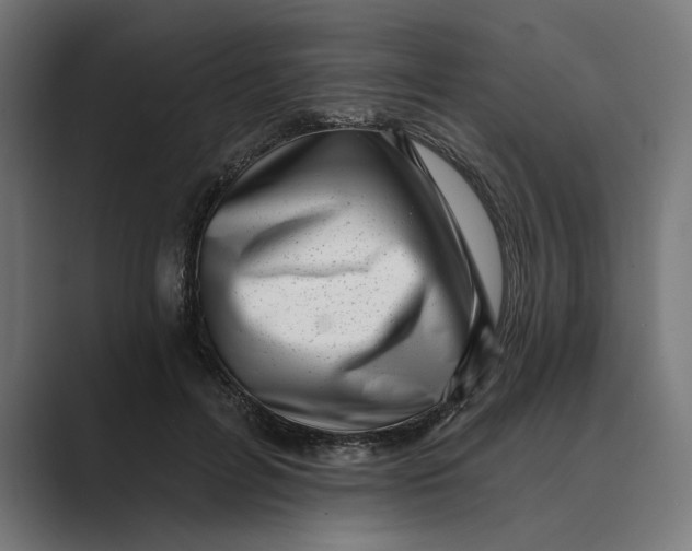 X0000088920600200706291528