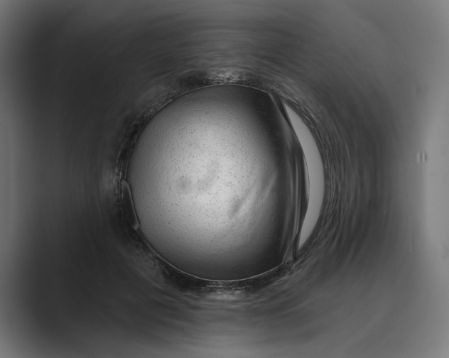 X0000088920601200706291528