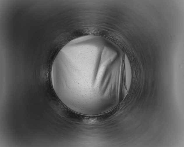 X0000088920602200706291528