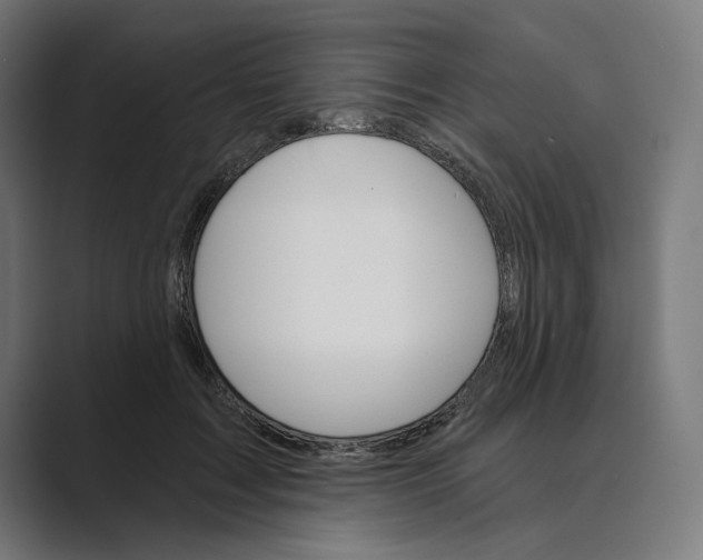 X0000088920603200706291528