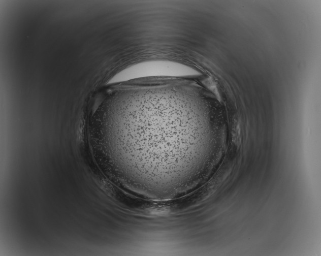 X0000088920604200706291528