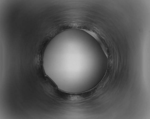 X0000088920605200706291528