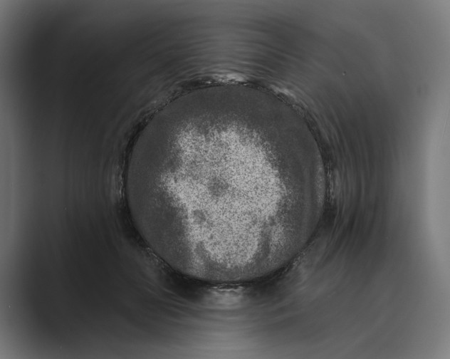 X0000088920606200706291528
