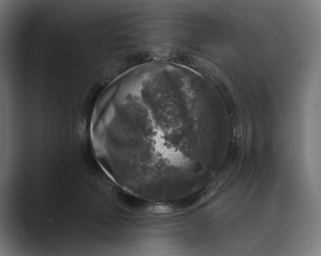 X0000088920610200706291528