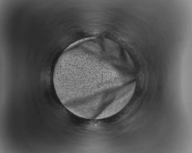 X0000088920612200706291528