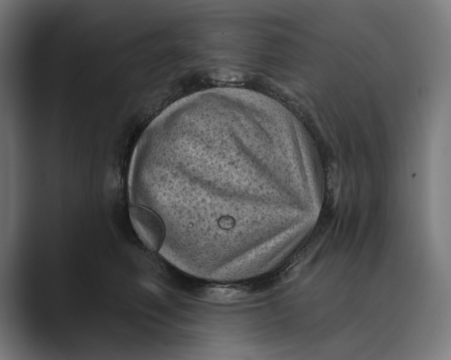 X0000088920614200706291528
